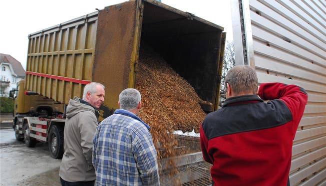 Fachleute der Bürgergemeinde und des Ofenbauers beobachten, wie die allererste Ladung Holzschnitzel in der Anlage landet.