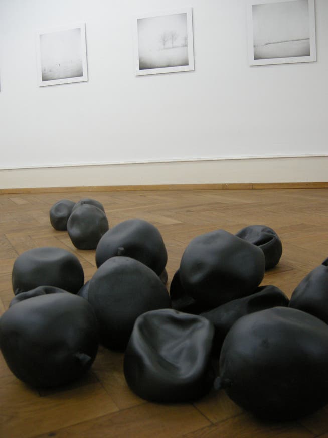 Werk von Maude Schneider, das im letzten Jahr im Kunsthaus Langenthal ausgestellt wurde.