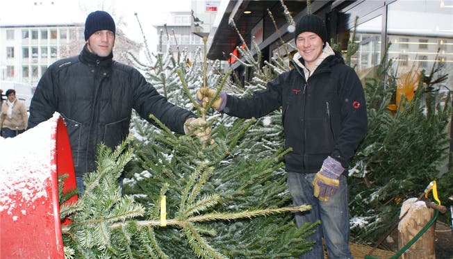 Patrick Horat und Stefan Guthauser nehmen sich extra Ferien, um auf der Aarauer Igelweid Christbäume zu verkaufen.