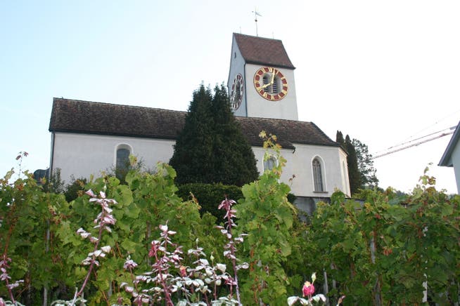 Die reformierte Kirche Weiningen ist schon seit langem ein beliebter Nistplatz für Turmfalken. zim