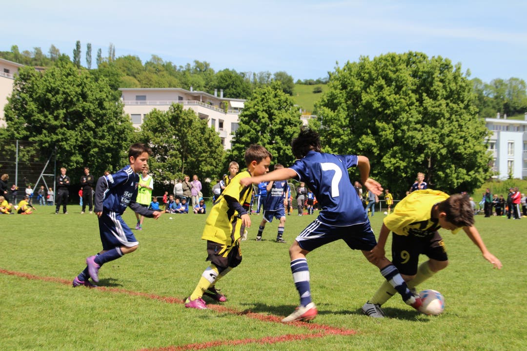 FC Wettingen Ea in blau gegen BSC Old Boys Ea in gelb