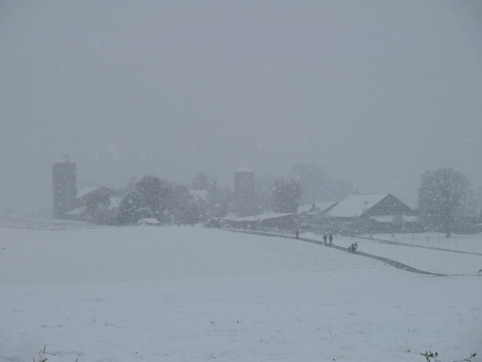 Schneegestöber am Schlieremerberg