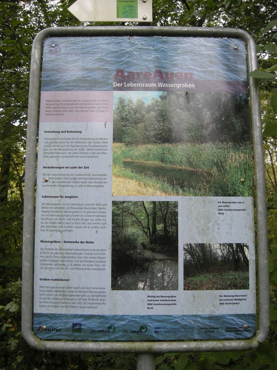 Naturschutzgebiet Wannengraben Informationstafel