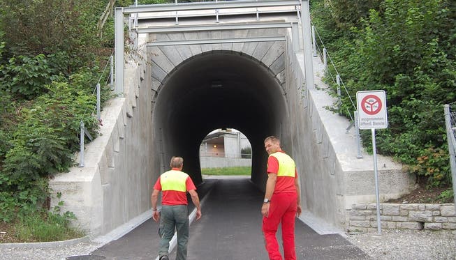 Früher war dies der Seetalbahntunnel. Heute wird der Tunnel alsFussgängerunterführung genutzt. hh