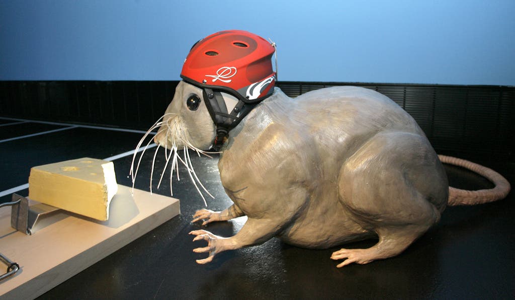 Geht es den Mäusen in Untersiggenthal bald an den Kragen? (Bild: «Die Mausefalle» war eines der Exponate im Deutschen Hygienemuseum)