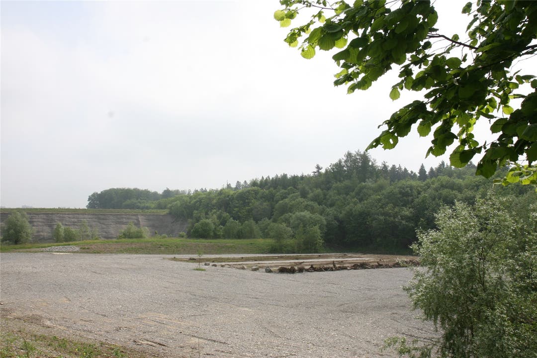 Klar strukturiert präsentiert sich das Naturschutzgebiet in der alten Kiesgrube.