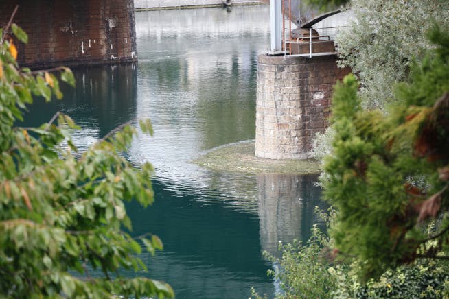 Flussgras staut sich auch, wie hier in Solothurn, an Brückenpfeilern.