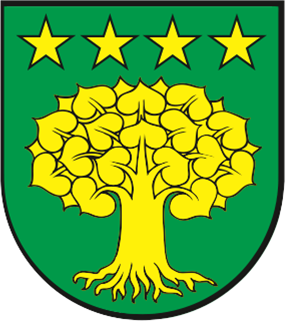 So wird das neue Wappen der Gemeinde Bözberg aussehen