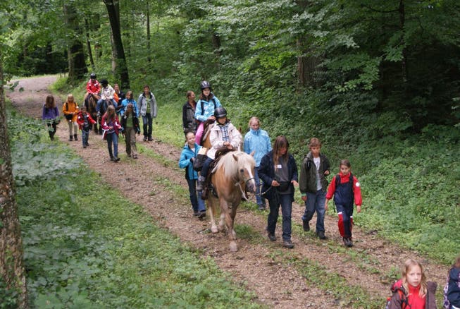 Kinder beimPferde- und Eseltrekking in der Freizeitanlage Chrüzacher in Dietikon