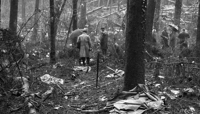 Das Flugzeug hatte Dutzende Bäume abrasiert, war in den Wald gestürzt und wurde durch den Aufprall in Tausende Teile zerrissen.