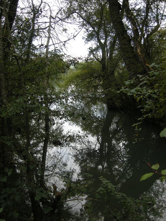 Naturschutzgebiet Wannengraben Der Blick in Richtung Aare