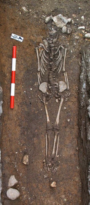  Die Ausgrabungen an der Propsteigasse 10 in Solothurn brachten das fast vollständig erhaltene Skelett eines achtjährigen, zwischen 230 und 410 n. Chr. verstorbenen Kindes zu Tage (Foto: Kantonsarchäologie Solothurn)