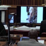 Pistorius blutverschmiert auf Polizei-Bilder – Ermittler gestehen Schlampereien