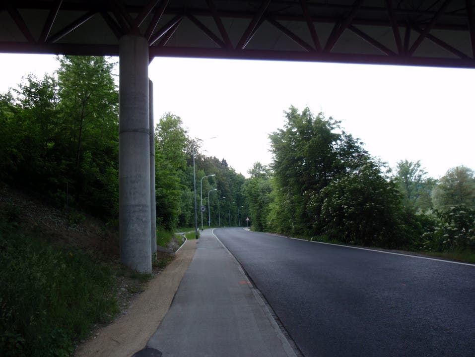 Das Amphibienleitwerk beginnt bei der Autobahnbrücke Dättwil