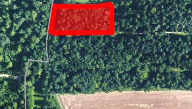 Eine Satellitenaufnahme vom Limperg in Wittnau mit Parzelle Nr. 976 (rot umrandet), die als Standort des Waldfriedhofs infrage käme; unten Gebäude und Platz der Golf Driving Range.az