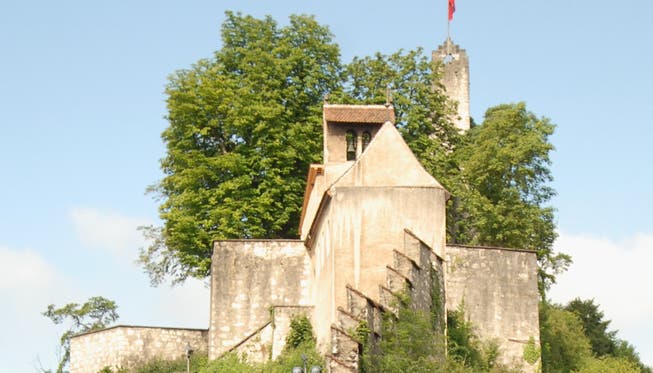 Auf Schloss Stein werden Aufwertungsmassnahmen für die Pflanzen und Tiere vorgenommen.
