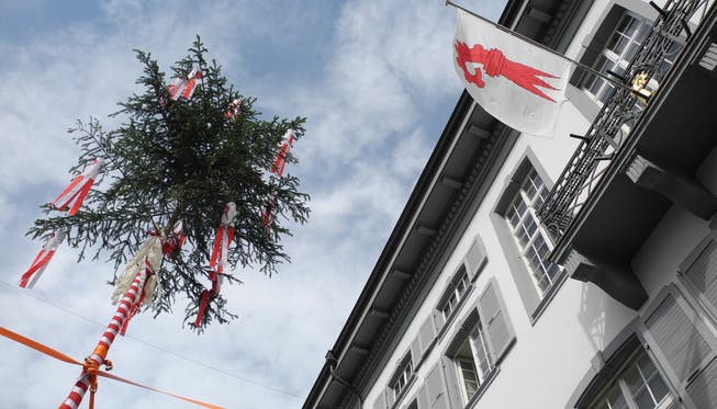 Am Tag der Fusionsdebatte im Landrat stellten die Fusionsgegner einen Freiheitsbaum vor dem Regierungsgebäude in Liestal auf.