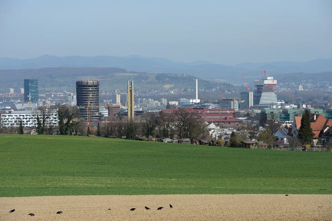 Panorama-Basel vom Bruderholz aus.