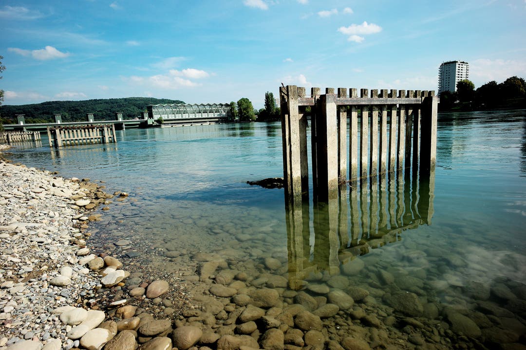 Am Rhein stehen erhöht Fischerhäuschen mit ihren Galgen und Holzsperren im seichten Wasser.
