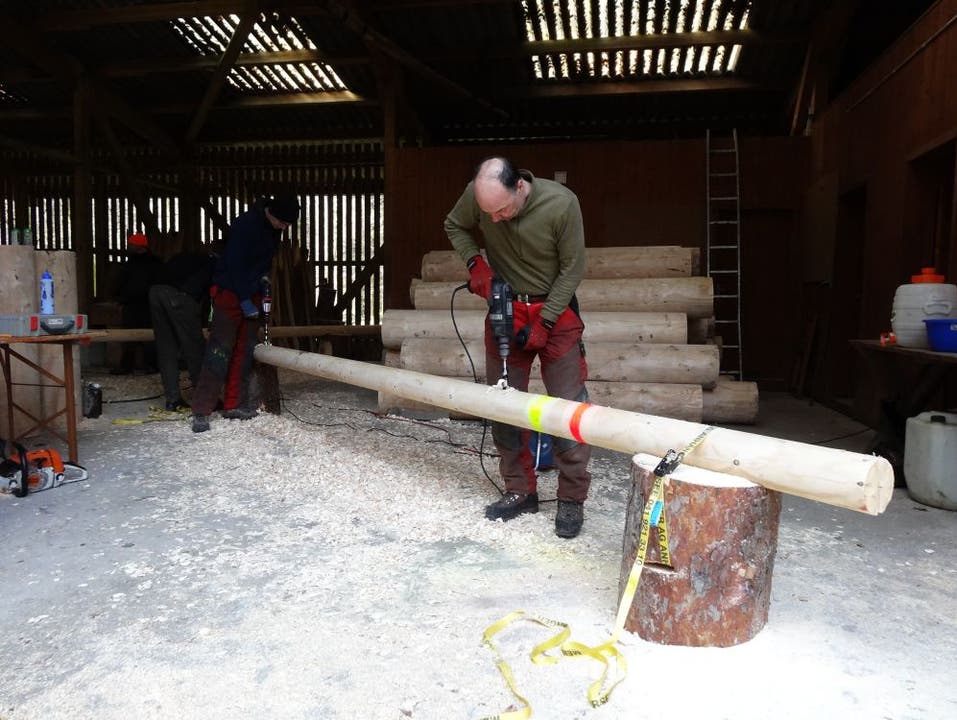 Das Holz für den Wettkampf in Gansingen wird in Kaisten vorbereitet
