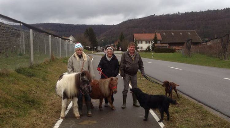So macht spazieren Spass: Mit Hund, Pony und ehemaligen Arbeitskollegen