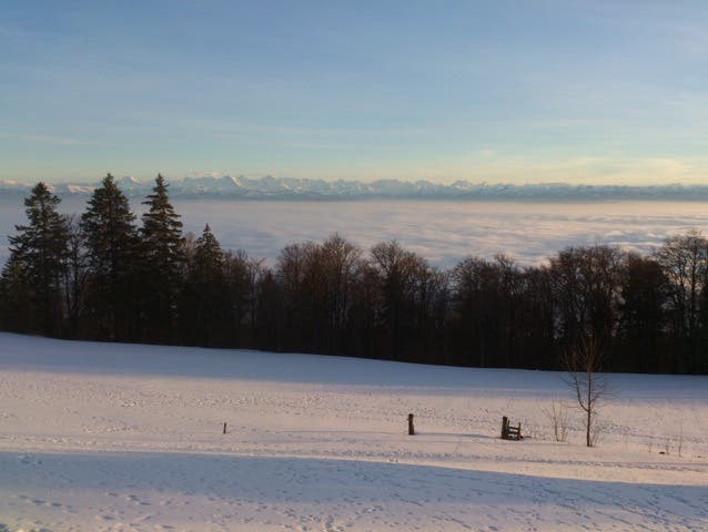 Blick über das Nebelmeer an die Alpen