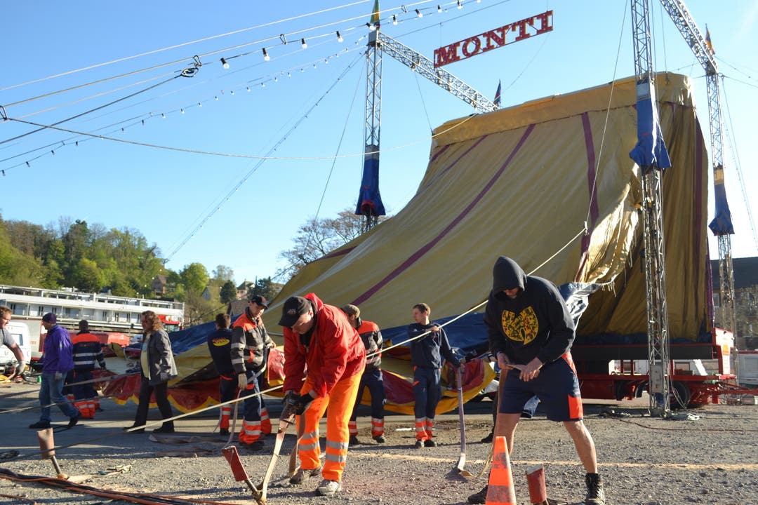 Circus Monti schlägt Zelte auf Schadenmühleplatz in Baden auf