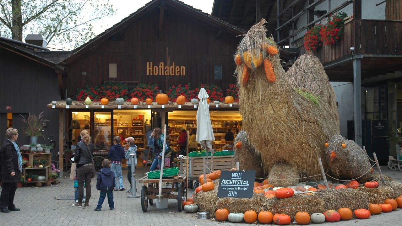 Ein Strohhuhn weist auf das Strohfestival hin, das im Januar auf dem Jucker-Hof in Seegräben erstmals stattfindet.