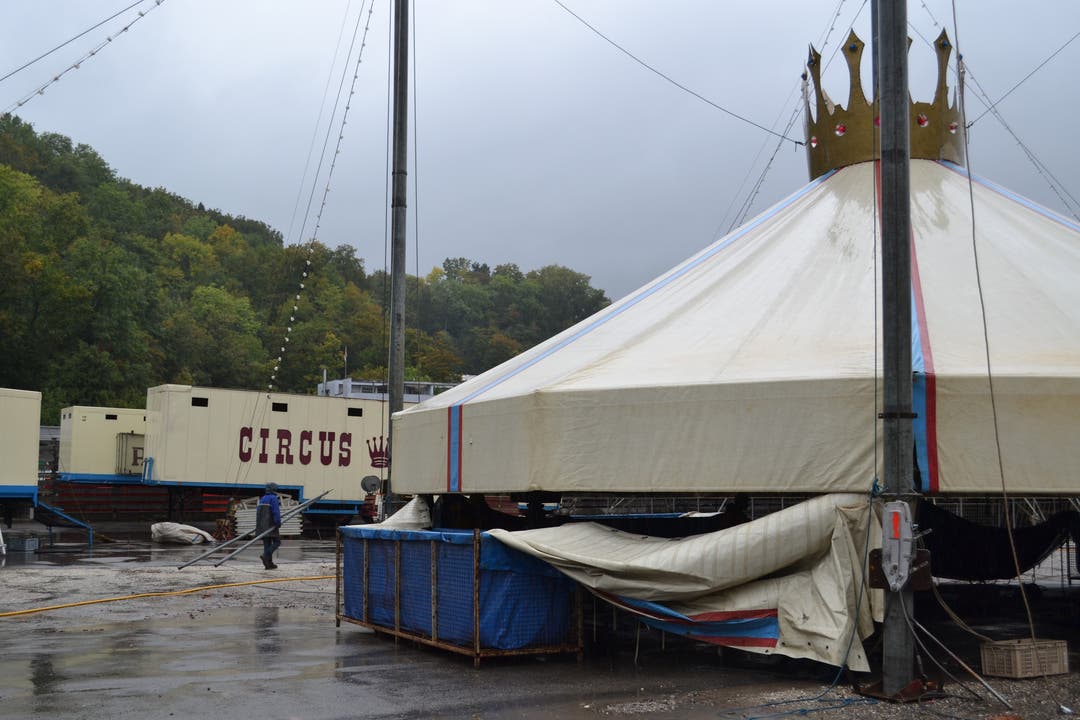 Zirkus Royal in Baden