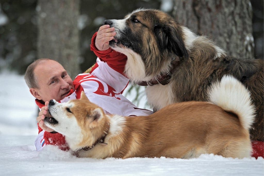 Wladimir Putin ist offiziell wieder Single - hier sehen Sie, worauf er privat abfährt
