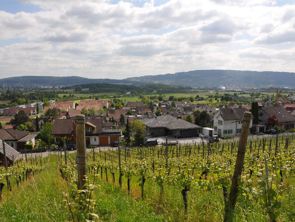 «Wy-Teilete» Kreisgemeinde Weiningen
