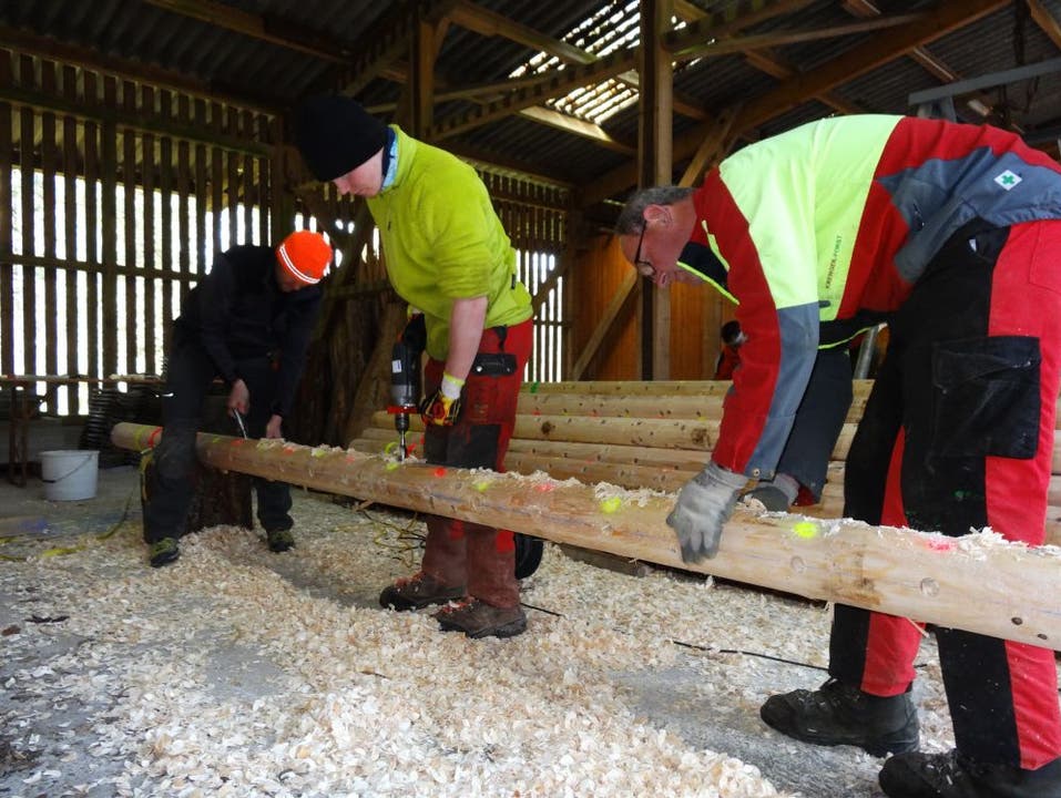 Die Stämme für den Aargauer Holzwettkampf werden präpariert