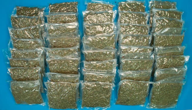 40 Kilogramm Marihuana stellte die Kantonspolizei in Etzgen sicher.