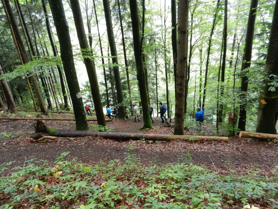 Der Weg nach Balsthal war recht rutschig und ein paar Wanderer landeten auf dem Hosenboden
