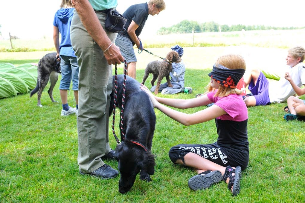 Im Ferienplausch-Kurs Büren Oberwil lernen Kinder den richtigen Umgang mit Hunden 10