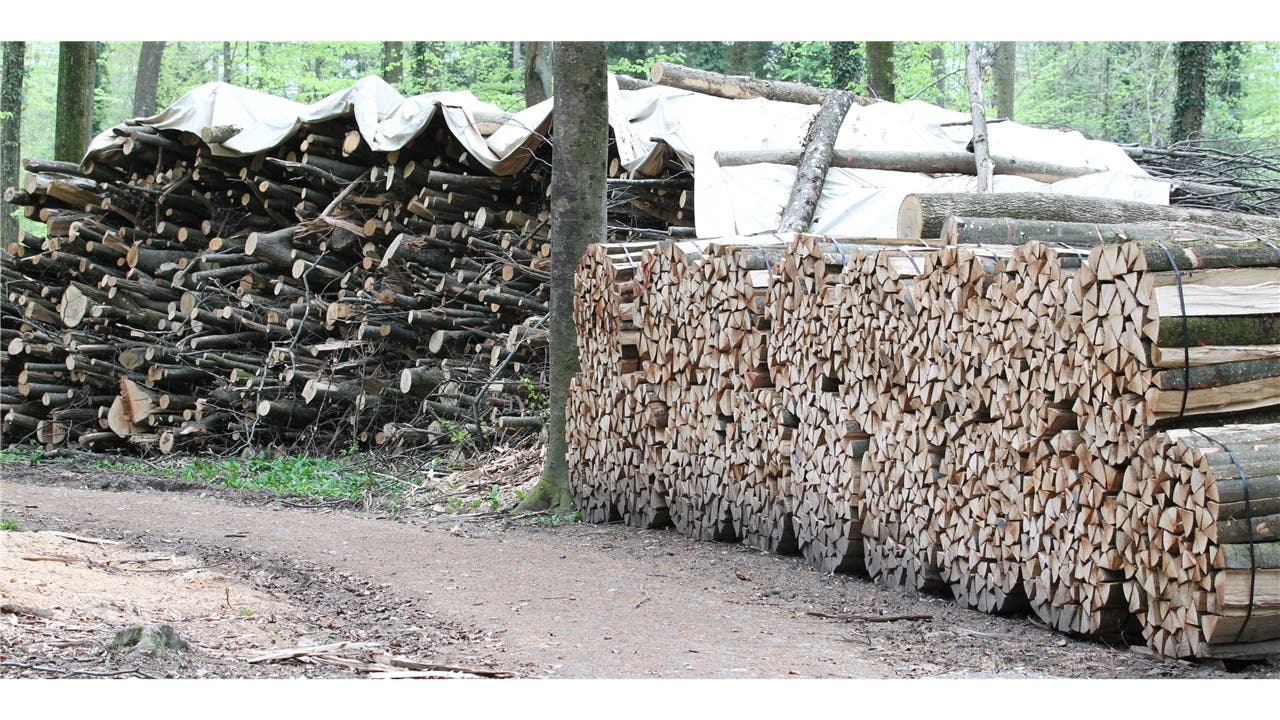 Holz im Telli-Wald.