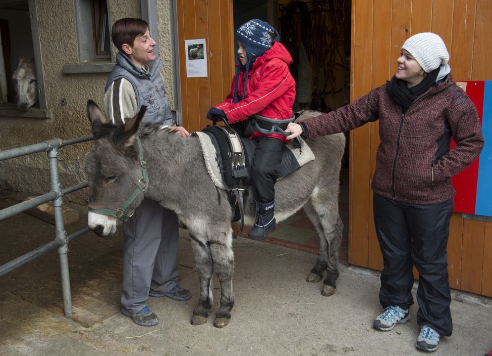 Esel Sascha hulft Kindern mit Behinderung