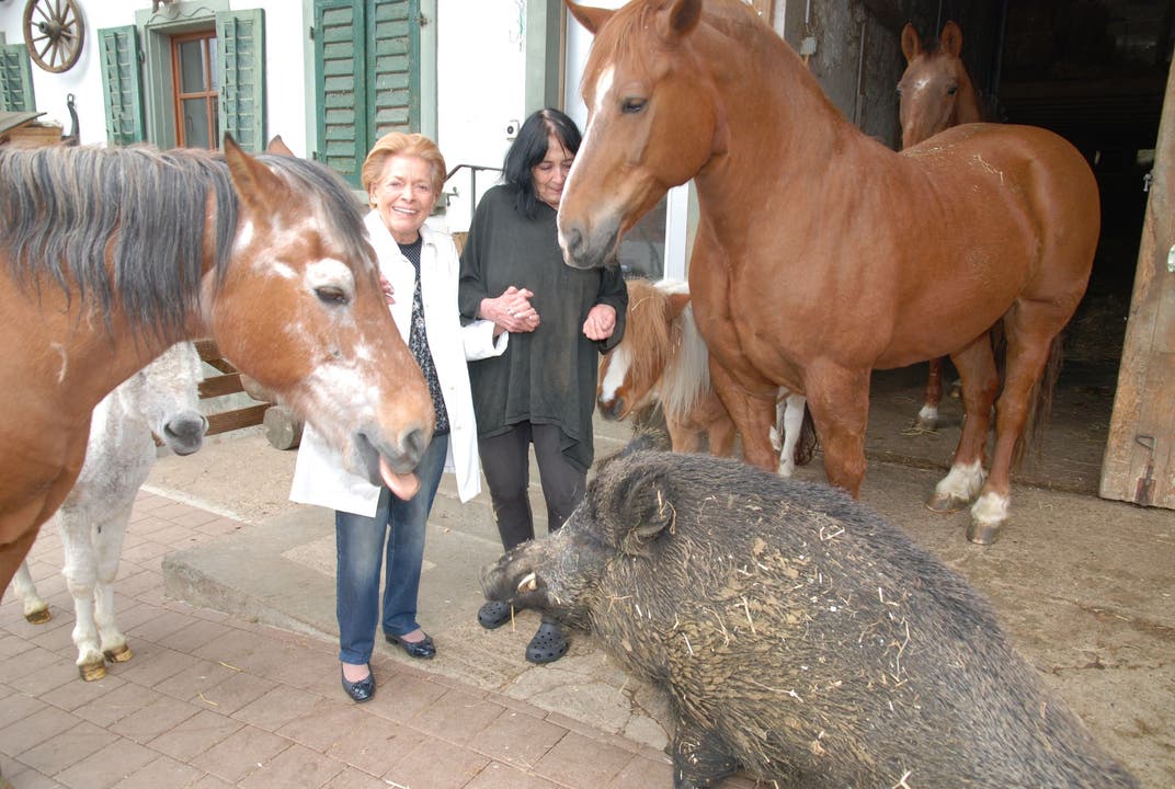 Lys Assia (links) und Monika Spörlé bei Ross, Esel und Wildsau