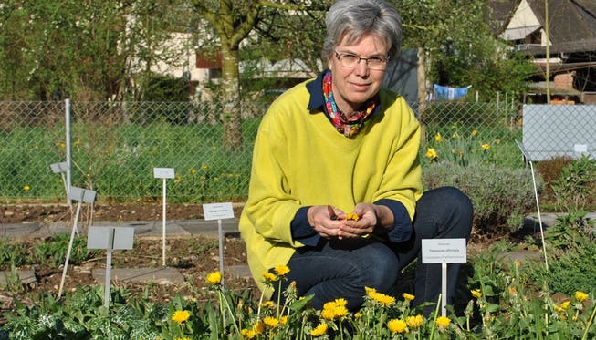 Rund 130 Pflanzenarten wachsen im Garten von Silvia Senn. Nadine Böni