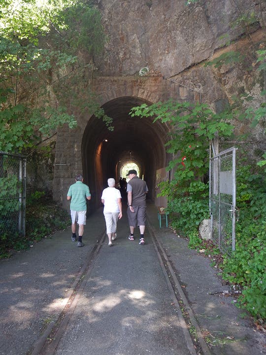 Der Verein Festungswerke Solothurner Jura machte den Guntenflühli-Tunnel in Balsthal für einmal öffentlich zugänglich. Hier zeigten die Festungs-Freunde wie das Militär 1939-1945 die zweite Strasse durch die Klus baute und betrieb.