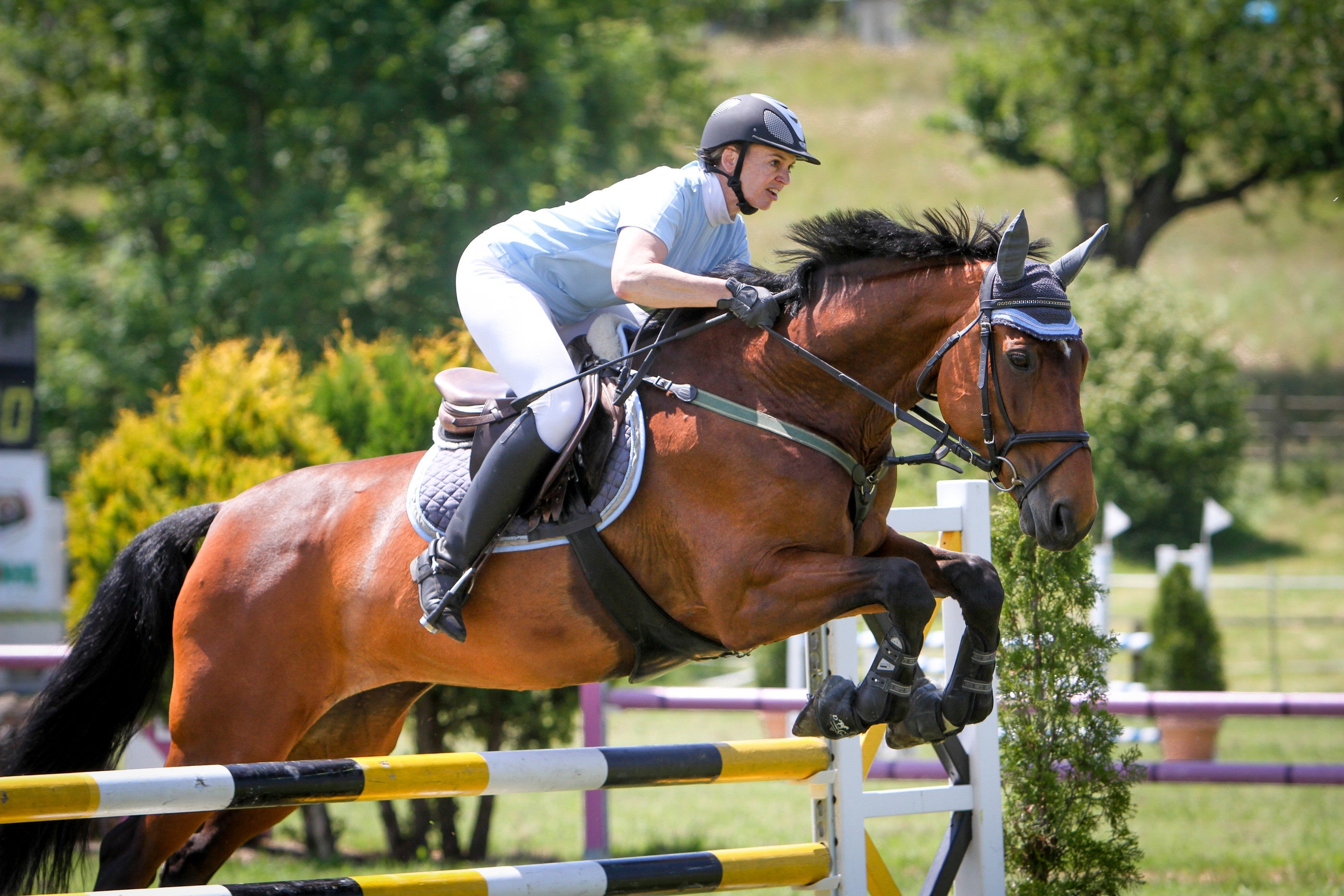 Reitgesellschaft An Der Limmat, Dietikon - Spannender Springsport Im ...