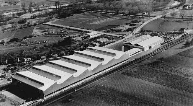 Die neuen Lagerhallen in Dietikon wurden 1961 fotografiert. zvg