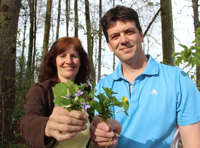 Die Pilzkontrolleure Monika Senn und James Gurtner kennen sich auch mit Wildkräutern gut aus.