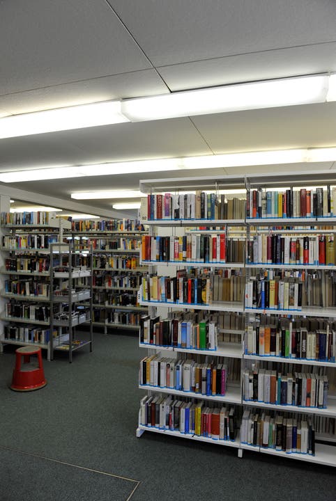 Die Stadtbibliothek ist in einem erbärmlichen Zustand und sollte dringend saniert werden.