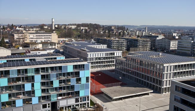 Flachdächer soll in Zürich ökologisch begrünt werden.
