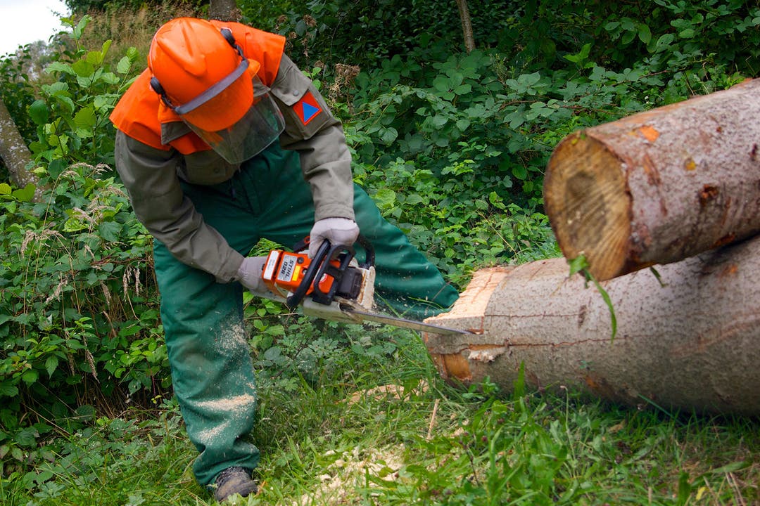 Für den Aufbau eines Wasserauffangbeckens präpariert ein Zivilschützer Baumstämme.