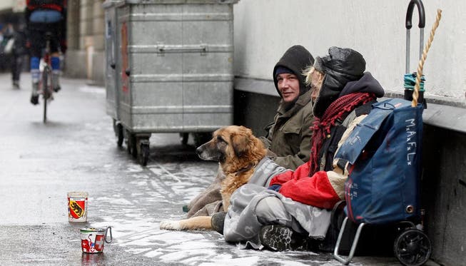 SVP-Kantonsrat Roland Scheck befürchtet zu unrecht, dass Obdachlose mit ihren Hunden den Sozialstaat ausnutzen. (Symbolbild)