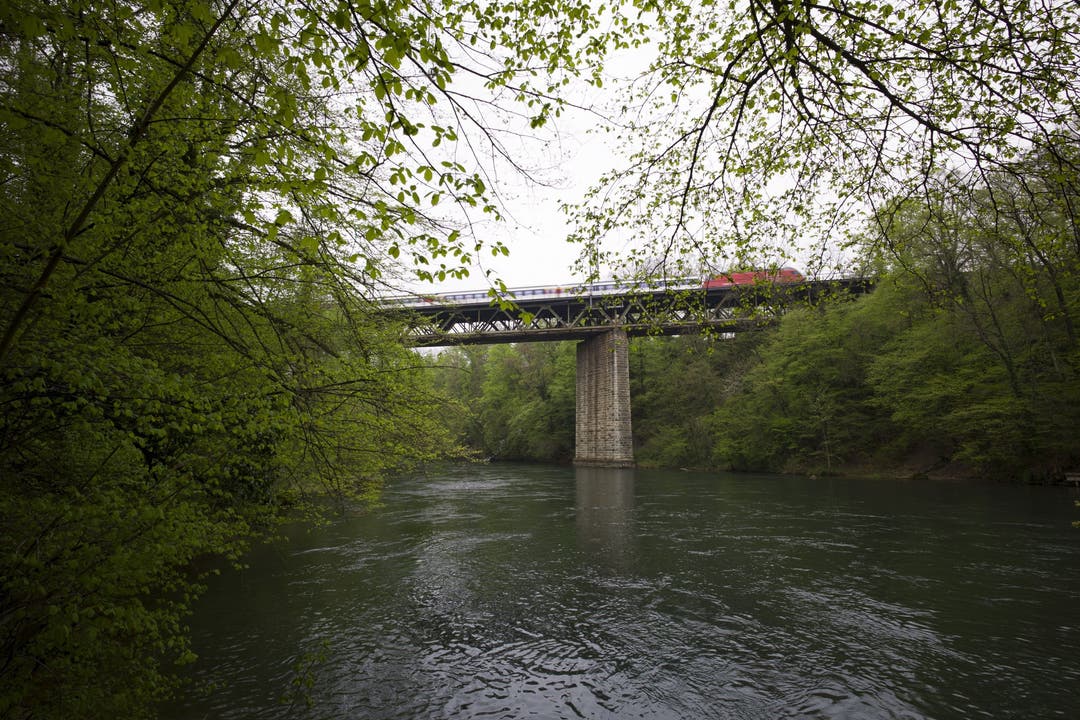 Unter der Eisenbahnbrücke ist die Limmat noch sehr naturnah