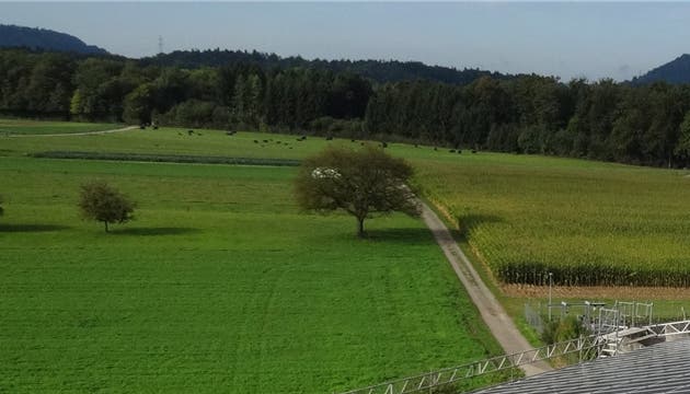 Photovoltaikanlage in Rütihof auf der Remise der Familie Schöni. zvg