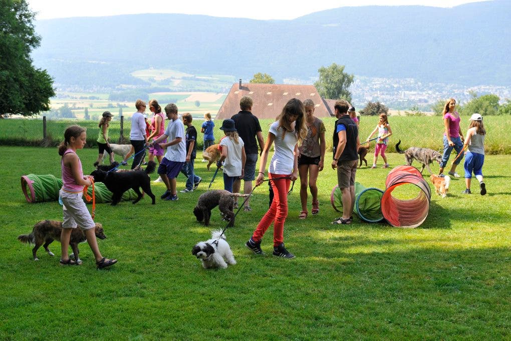 Im Ferienplausch-Kurs Büren Oberwil lernen Kinder den richtigen Umgang mit Hunden 02